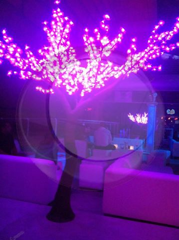 Arbol iluminado  para decoración